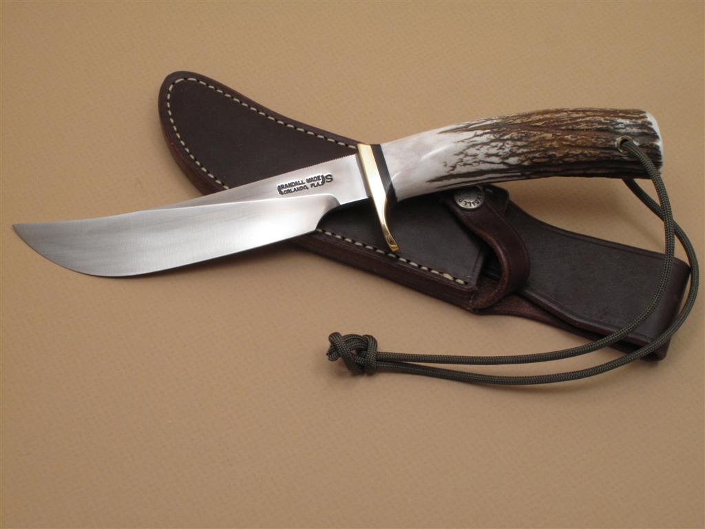 IMG_1293 (Large).JPG IMG_1293 (Large).JPG